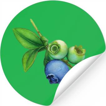 Discover blueberries Stickers