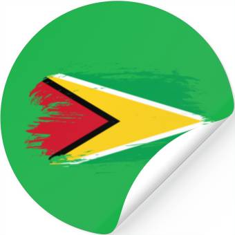 Discover Guiana flag Stickers