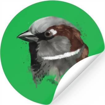 Discover Splash Bird Sparrow Stickers