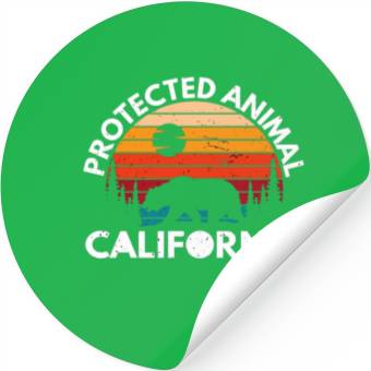 Discover California Bear Retro Stickers