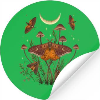 Discover Autumn Light Underwing Stickers