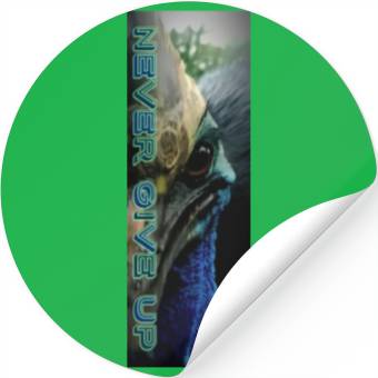 Discover Never give up Stickers