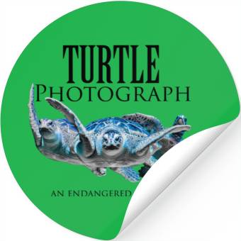 Discover Turtle photograph Stickers