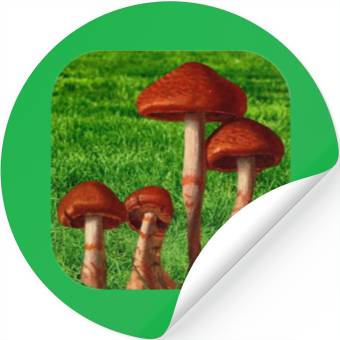 Discover Natural mushroom Stickers