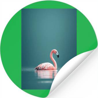 Discover Flamingo im See Stickers