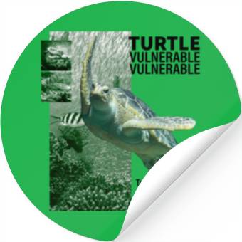 Discover Turtle layout green Stickers