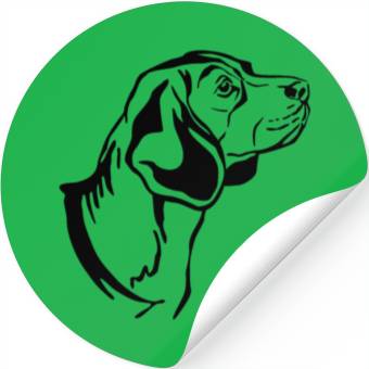 Discover Beagle Stickers