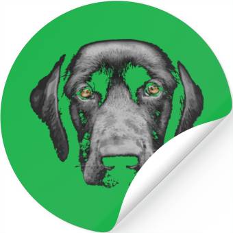 Discover Black Labrador Retriever Stickers
