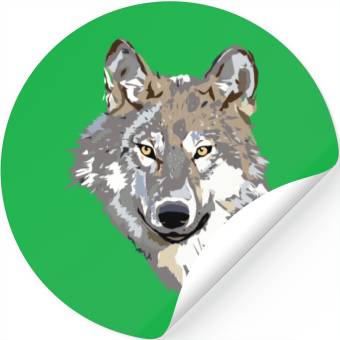 Discover colored Fox Stickers