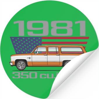 Discover 1981 Burnt Orange Stickers