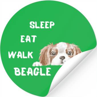 Discover Beagle Stickers