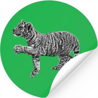 Discover Amur tiger cub Stickers