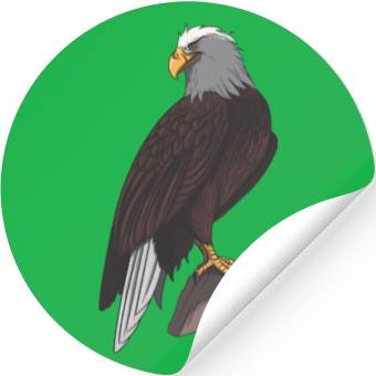 Discover Eagle flying perching Stickers