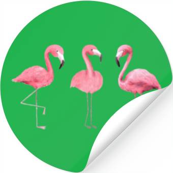 Discover Pink Flamingo Stickers