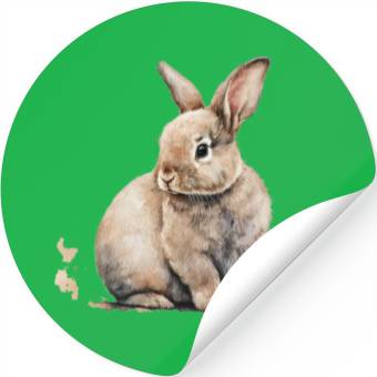 Discover Easter Bunny Stickers