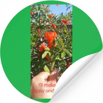 Discover Spring Stickers