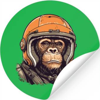 Discover Racing Ape Stickers