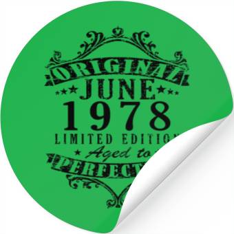 Discover Born 1978 In June Stickers