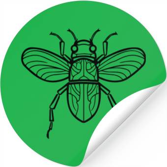 Discover Bug Beetle Insect Stickers