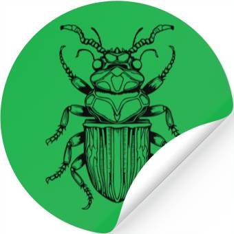 Discover Bug Beetle Insect Stickers