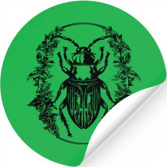 Discover Bug Beetle Insect Stickers