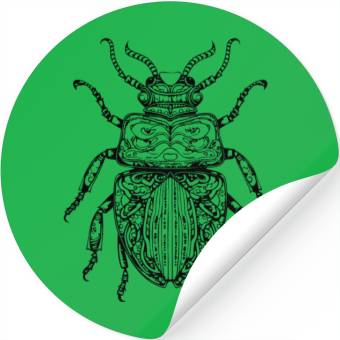 Discover Bug Beetle Insect Stickers