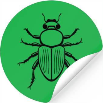 Discover Bug Beetle Insect Stickers