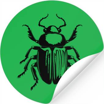 Discover Bug Beetle Insect Stickers