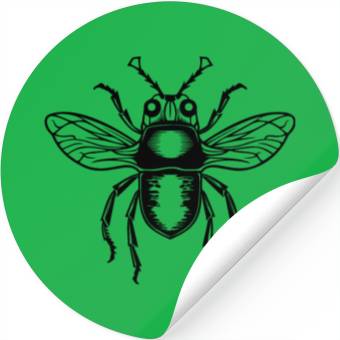 Discover Bug Beetle Insect Stickers