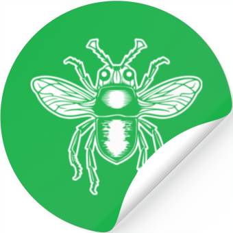 Discover Bug Beetle Insect Stickers
