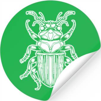 Discover Bug Beetle Insect Stickers