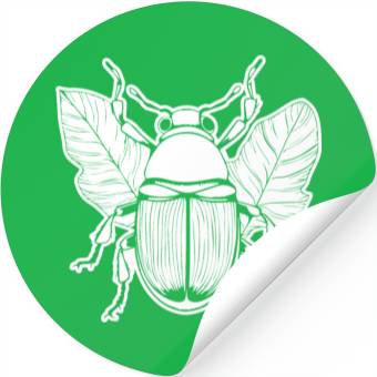 Discover Bug Beetle Insect Stickers