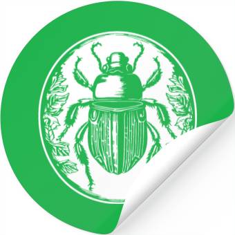 Discover Bug Beetle Insect Stickers