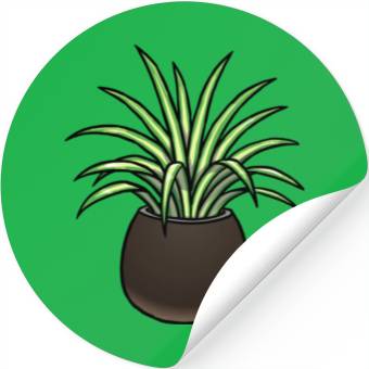 Discover Spider Plant Stickers