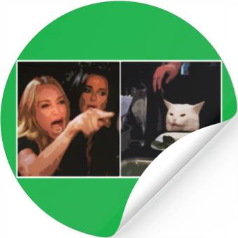 Discover Yelling At A Cat Meme Stickers