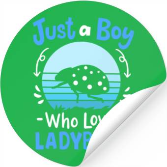 Discover Ladybug Insect Ladybug Lover Retro Stickers
