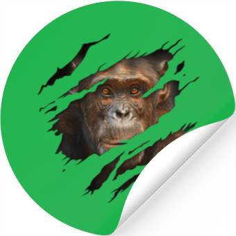 Discover Torn Monkey Face Torn Monkey Face Torn Stickers