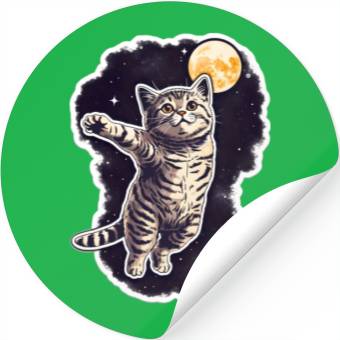 Discover Space cat Stickers