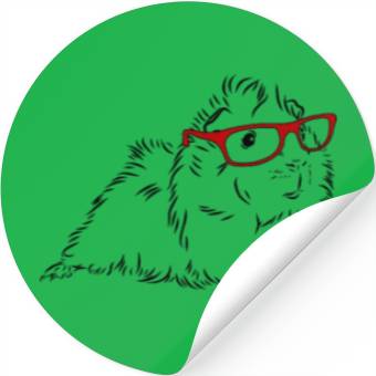 Discover Long Haired Guinea Pig Stickers