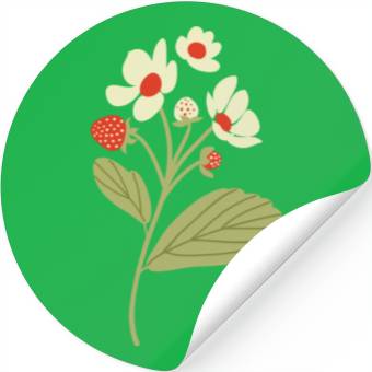 Discover Strawberry Berry Stickers