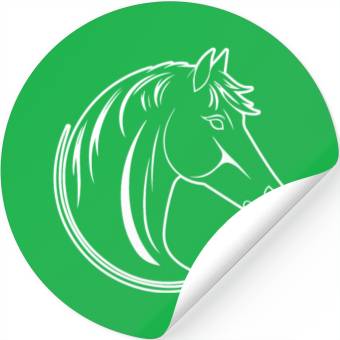 Discover Horse Equine Pony Stickers