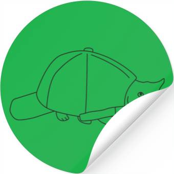 Discover Turtle Cat Stickers