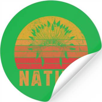 Discover Native American Pride Native Indian Stickers