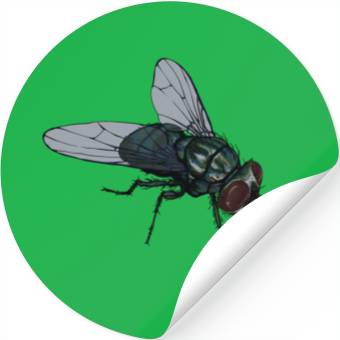 Discover Fly Common House Fly Insect Stickers