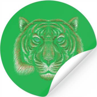 Discover The head drawing tiger Stickers
