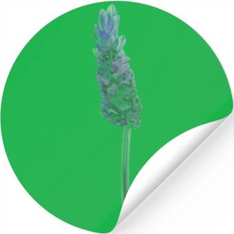Discover Lavender Flower Illustration Stickers
