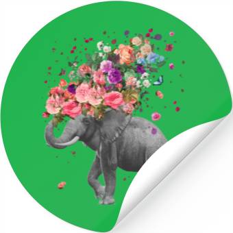 Discover Elephant Splash Stickers
