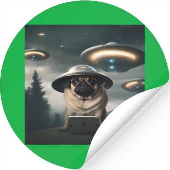 Discover Area 51 Stickers