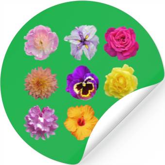 Discover Colorful spring flowers pattern Stickers