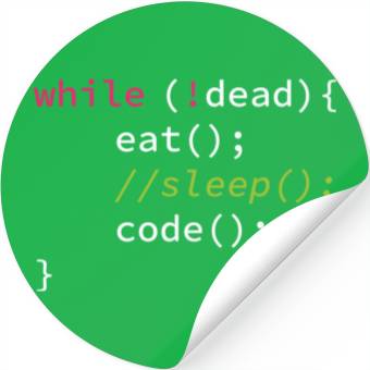 Discover Funny Coding Computer Science Programmer Eat Sleep Stickers